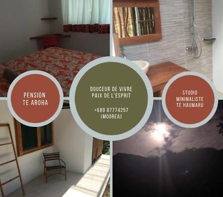 Pension Te Aroha - Te Haumaru Maatea Dış mekan fotoğraf